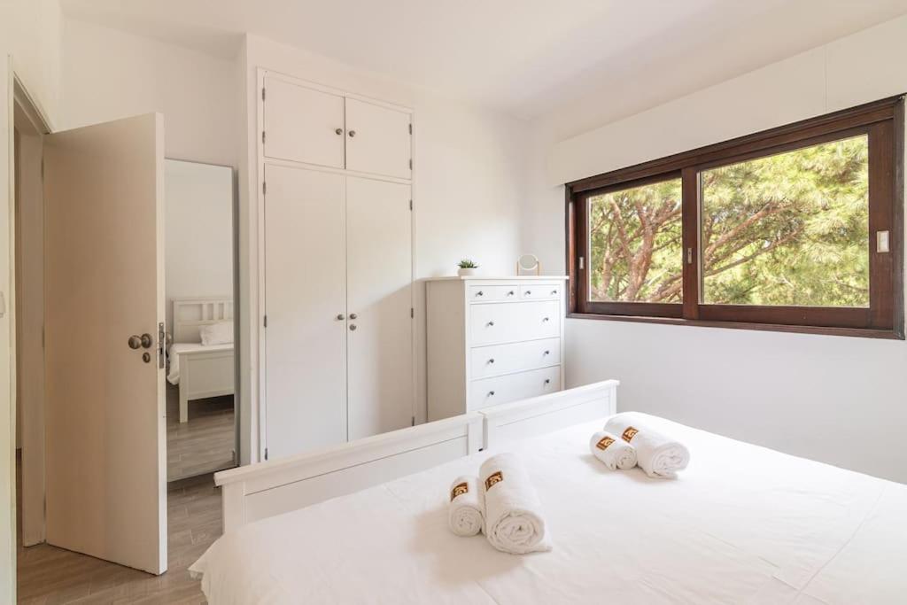 Appartement M.m. Sunrise T2